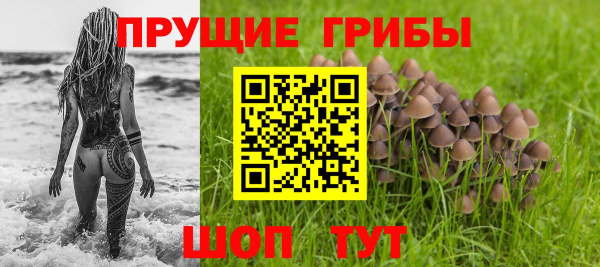 Северобайкальск  Галлюциногенные грибы мухоморы  Псилоцибиновые грибы Psilocybine cubensis  Вход с VPN 