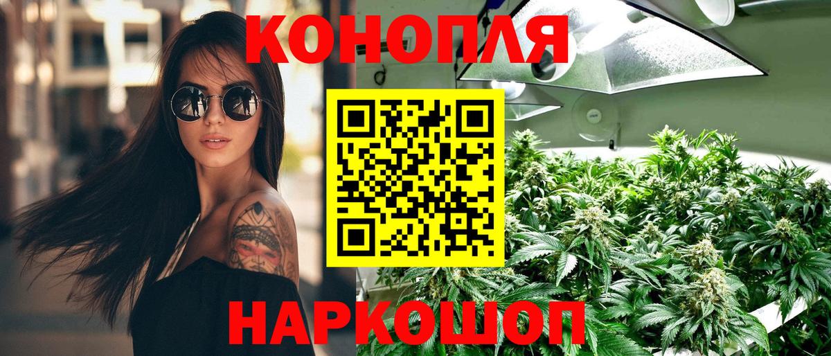 Бошки марихуана гибрид Северобайкальск